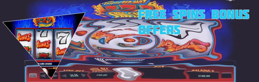 Free video slot games with bonus rounds
