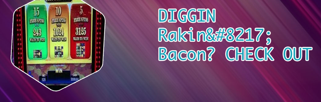 Play rakin bacon slot machine